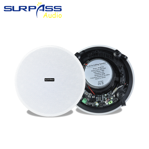 Ceiling Loudspeakers (CR-615)