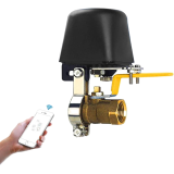 Ewelink Electric Valve