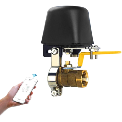Ewelink Electric Valve