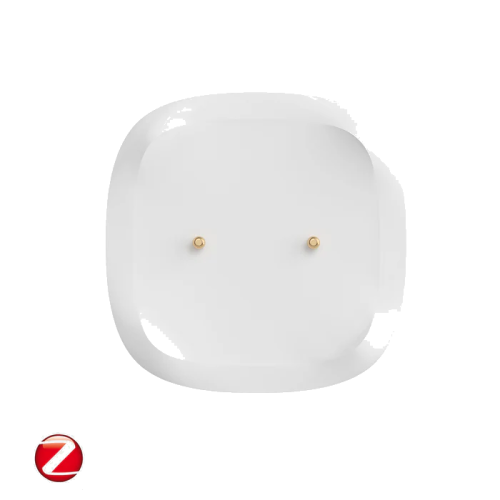 SONOFF Zigbee Water Leak Sensor | SNZB-05P