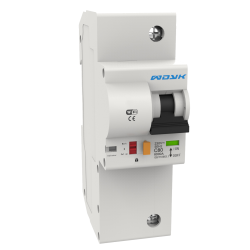 Ewelink Smart Circuit Breaker 100A-1P (PM)